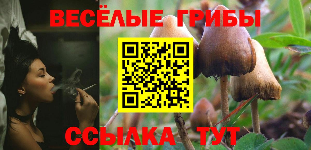 Ревда  Галлюциногенные грибы Psilocybine cubensis  Вход с VPN 